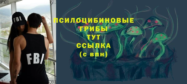 экстази Богородицк